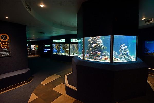 Interior of the 2 Ocean Aquarium