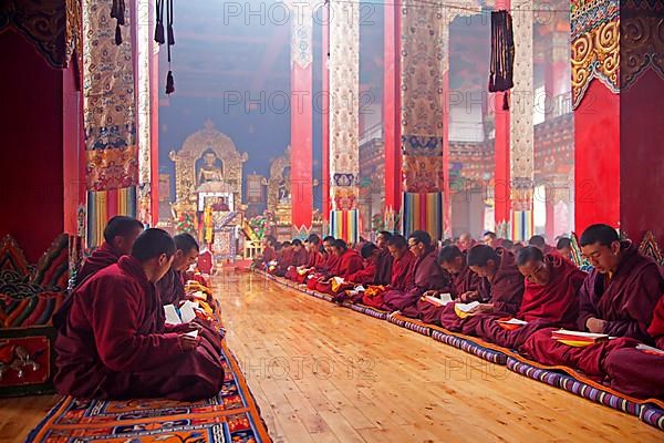 Young Tibetan monks say mantras and meditate at Dzogchen Gompa