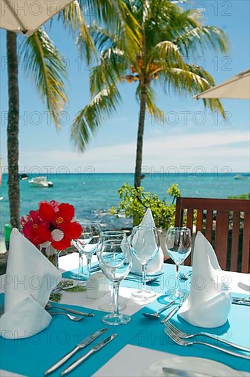 Luxurios decorated lunch table with hibiscus flower under palmtree