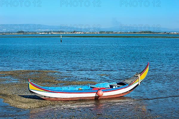 Colourful boats