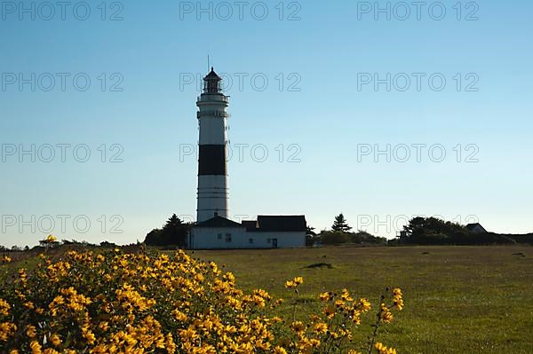 Lighthouse