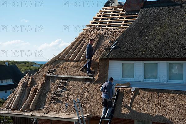 Thatching