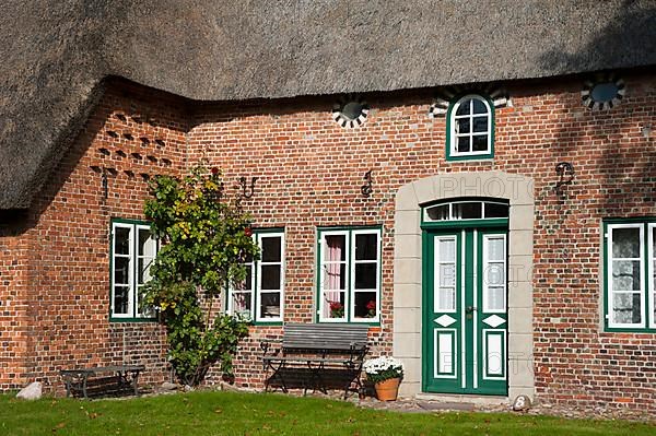 Thatched house