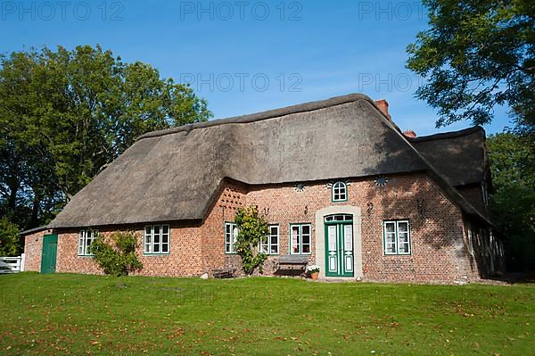 Thatched house