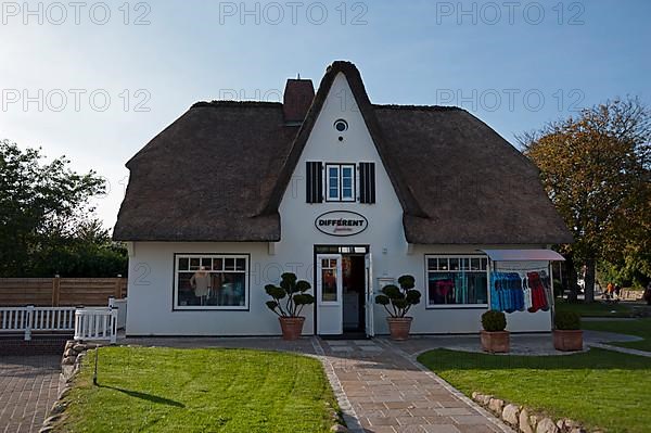 Fashion shop Different thatched Frisian house