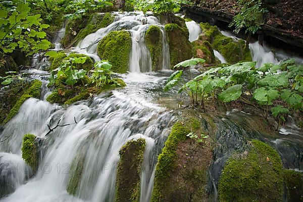 Waterfall