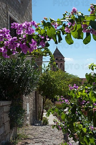 Parish Church of St. Michael