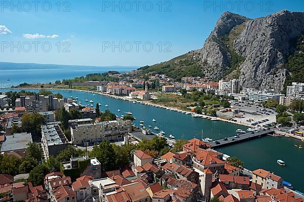 Omis