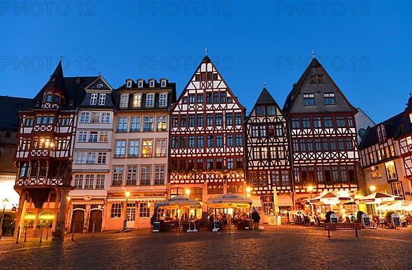 Half-timbered houses