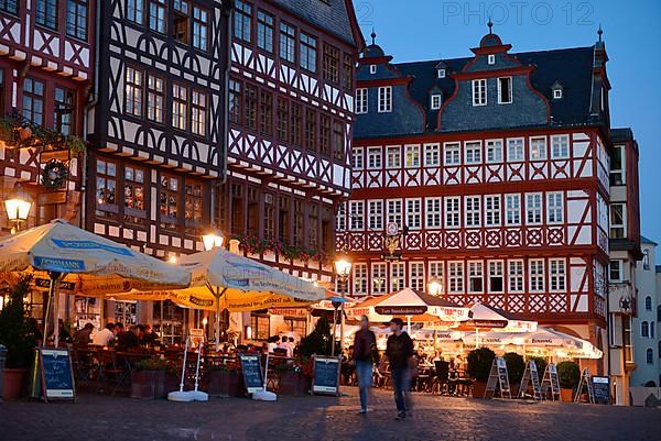 Half-timbered houses