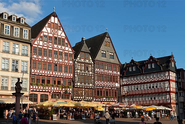 Half-timbered houses