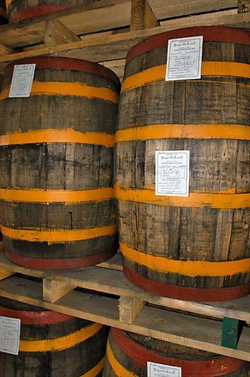 Rum barrels