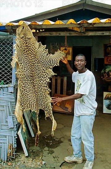 African Leopard Niche leopards