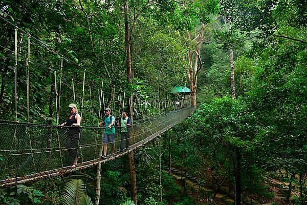 Taman Negara National Park