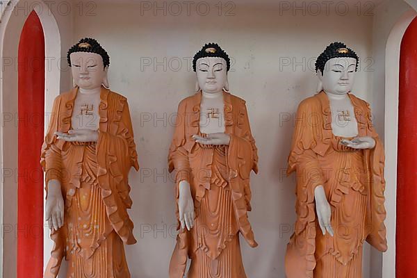 Buddha statues