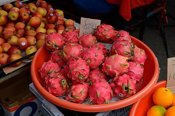 Dragon fruit