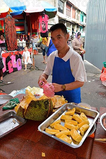 Jackfruit tree