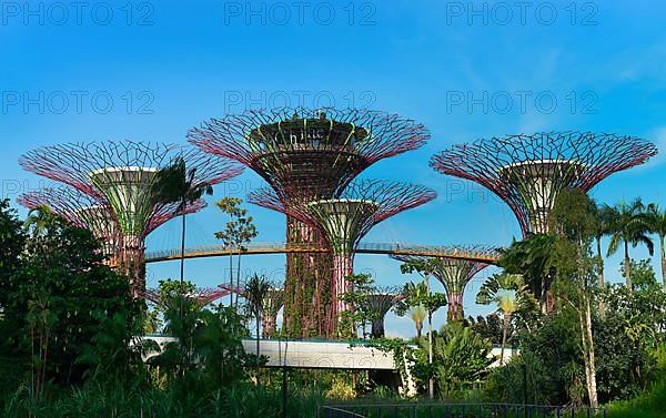 Gardens by the Bay