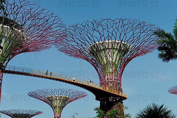 Gardens by the Bay