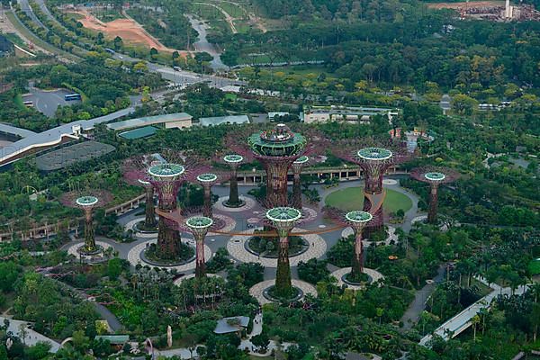 Gardens by the Bay