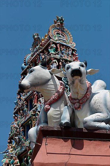 Sri Mariamman Temple