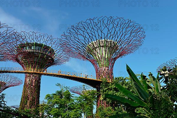 Gardens by the Bay