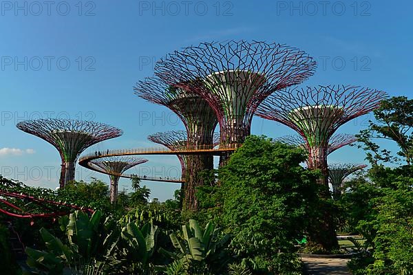 Gardens by the Bay