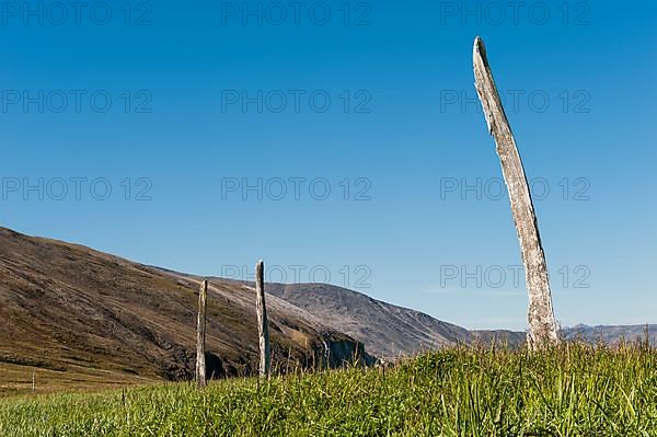 Whale Bone Avenue