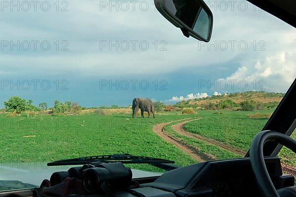 View through safari vehicle windscreen towards African