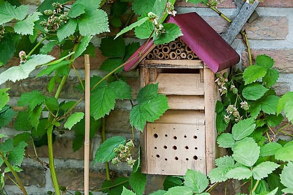 Insect hotel