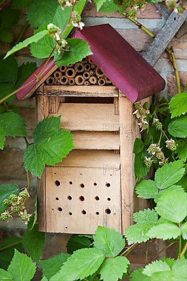 Insect hotel