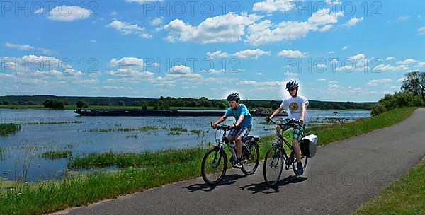 Oder Cycle Path near Kuestrin