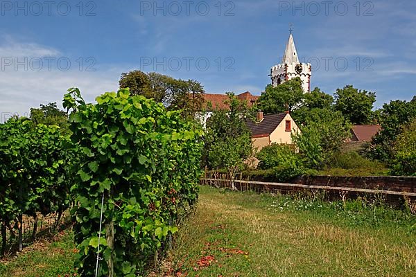 St. Martin's Church