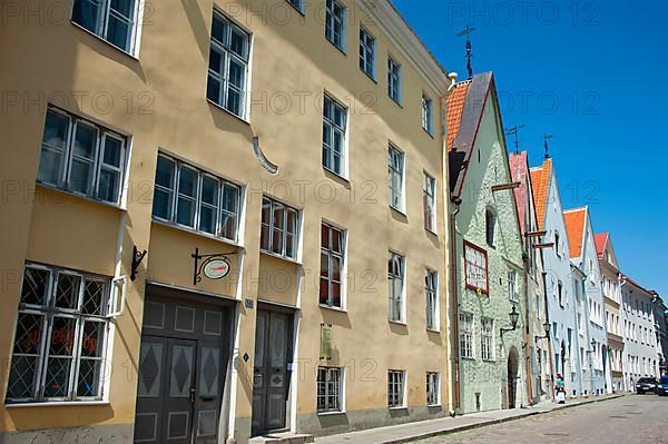 Houses in Ruutli