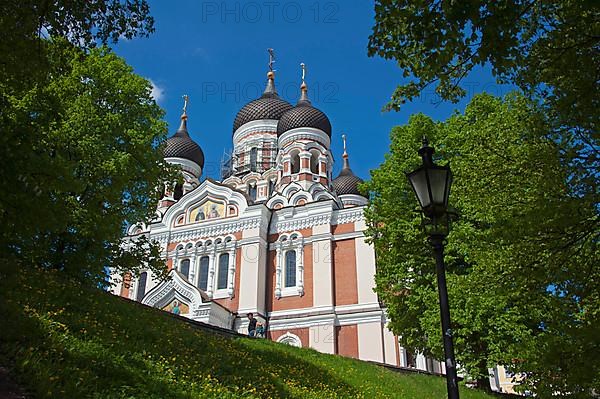 Alexander Nevski Cathedral