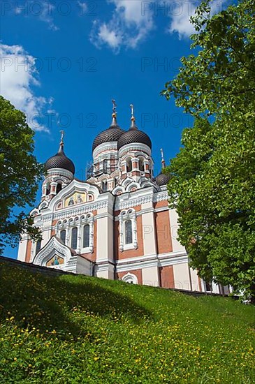 Alexander Nevski Cathedral