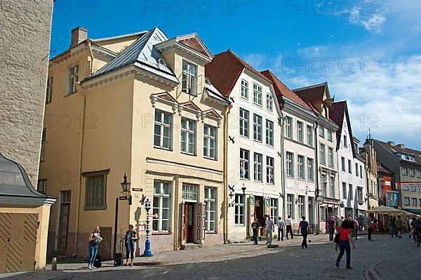 Hanseatic House