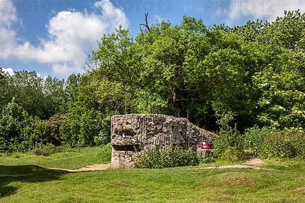 Ruin of a German bunker from the First World War on Hill 60 near Zillebeke