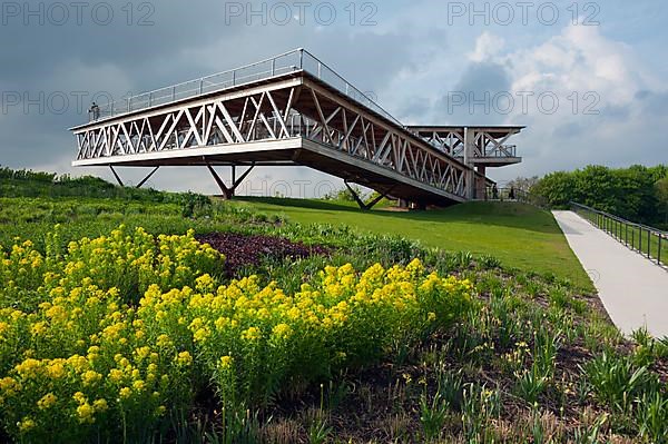 Wooden viewing platform