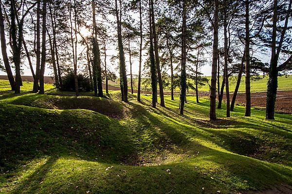 Shell craters and entrenchments in Sheffield Memorial Park