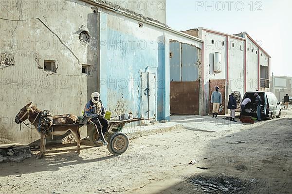 Fishermen bring their catch to sell