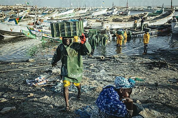 Arrival of the fishermen with the catch of the day in the harbour