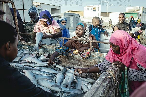 Women buying fish from the back of a truck or looking for by-catch