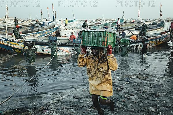 Unloading the catch at the port