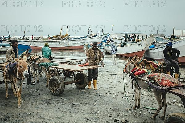 Port de Peche Traditionelle