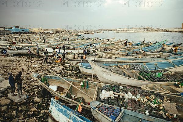 About 7000 fishing boats moored in the harbour