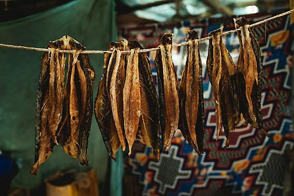 Dried fish