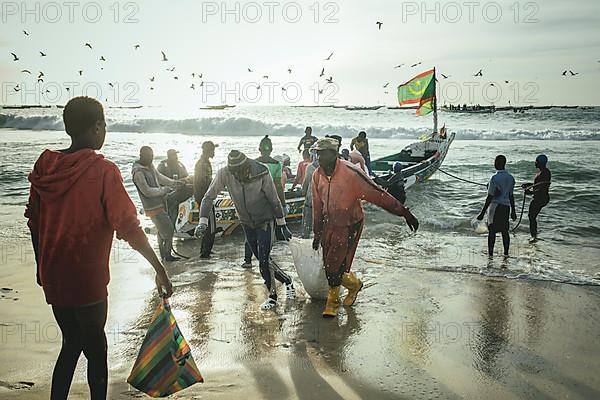 Arrival of the fishermen with sardines in the late afternoon