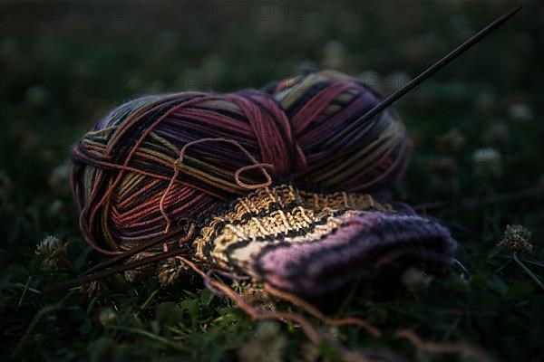 Knitted piece with knitting needles in a meadow