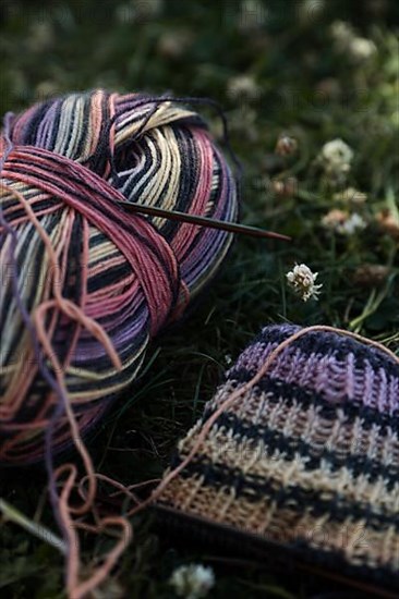 Knitted piece with knitting needles in a meadow